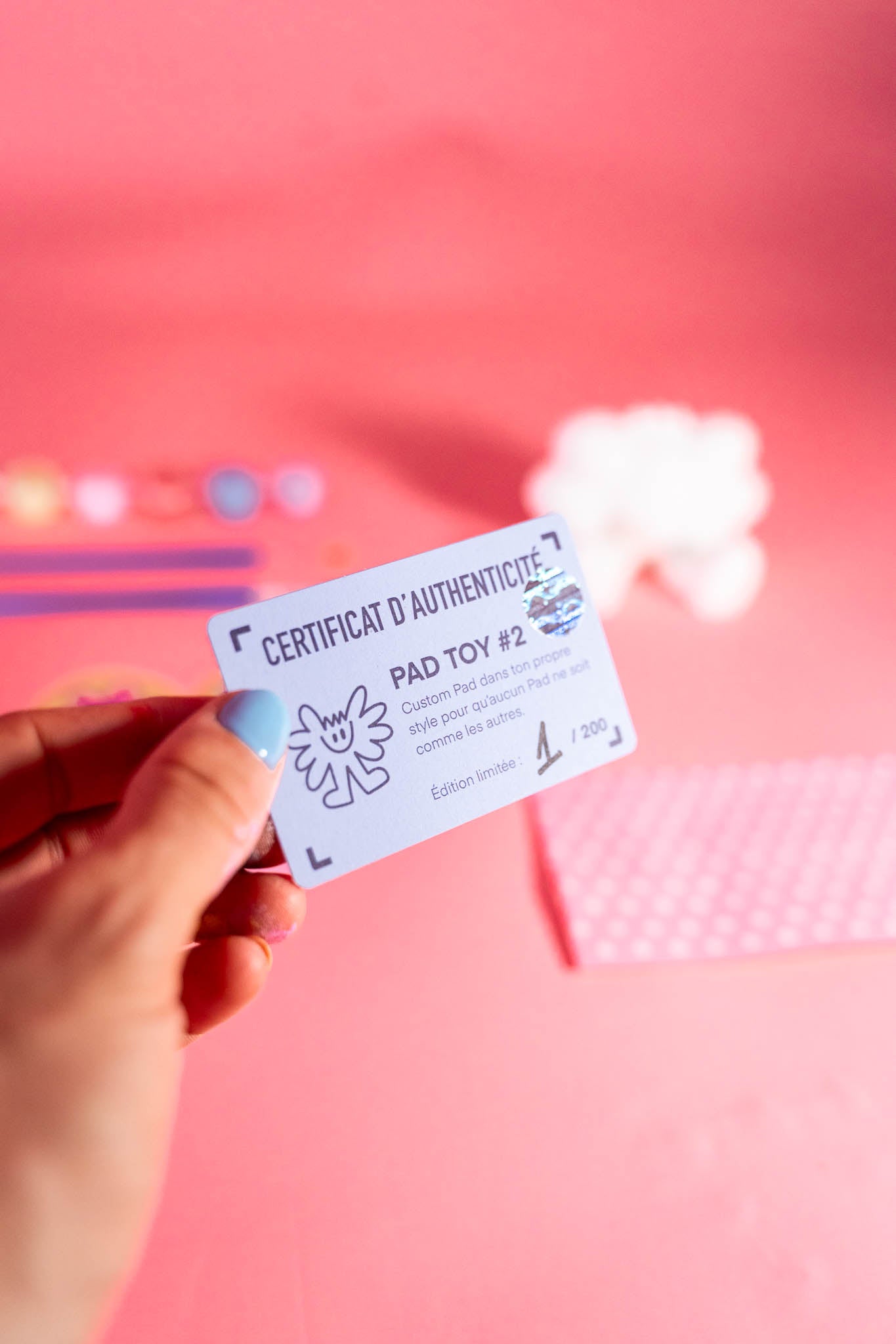 Pad Toy - BLANK EDITION